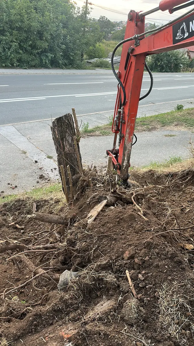 None Vršimo sve vrste zemljanih radova mini bagerom i kamionom kiperom • 12