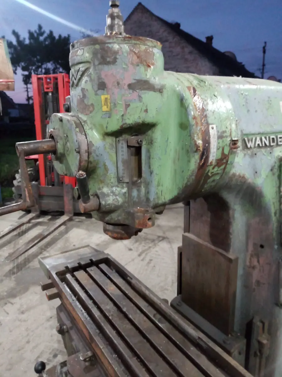 Glodalica Wanderer • 2