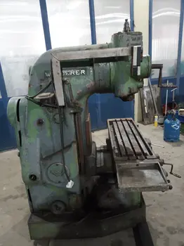 Glodalica Wanderer • slika 4