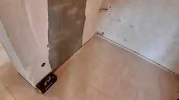 None Krečenje u belo ili u selektiranoj boji • slika 3