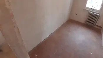 None Krečenje u belo ili u selektiranoj boji • slika 7