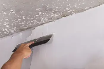 None Krečenje u belo ili u selektiranoj boji • slika 10