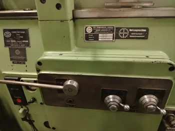 Glodalica Rendisaljka Heidenham • slika 2