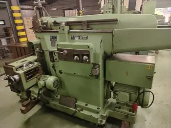 Glodalica Rendisaljka Heidenham • slika 3