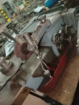 Glodalica Stona oštrilica • slika 2