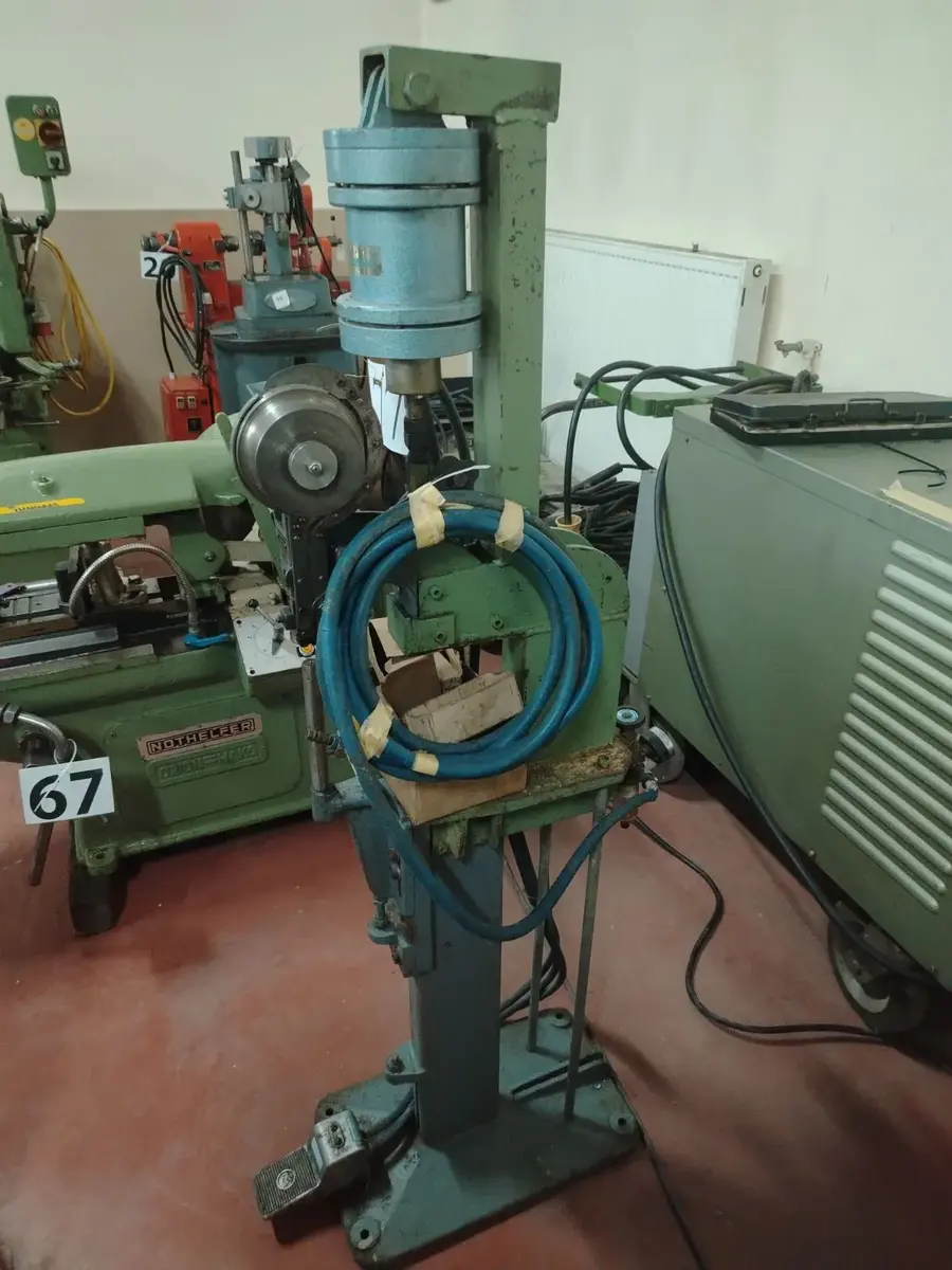 Glodalica Presa Niterica Constantin • 1