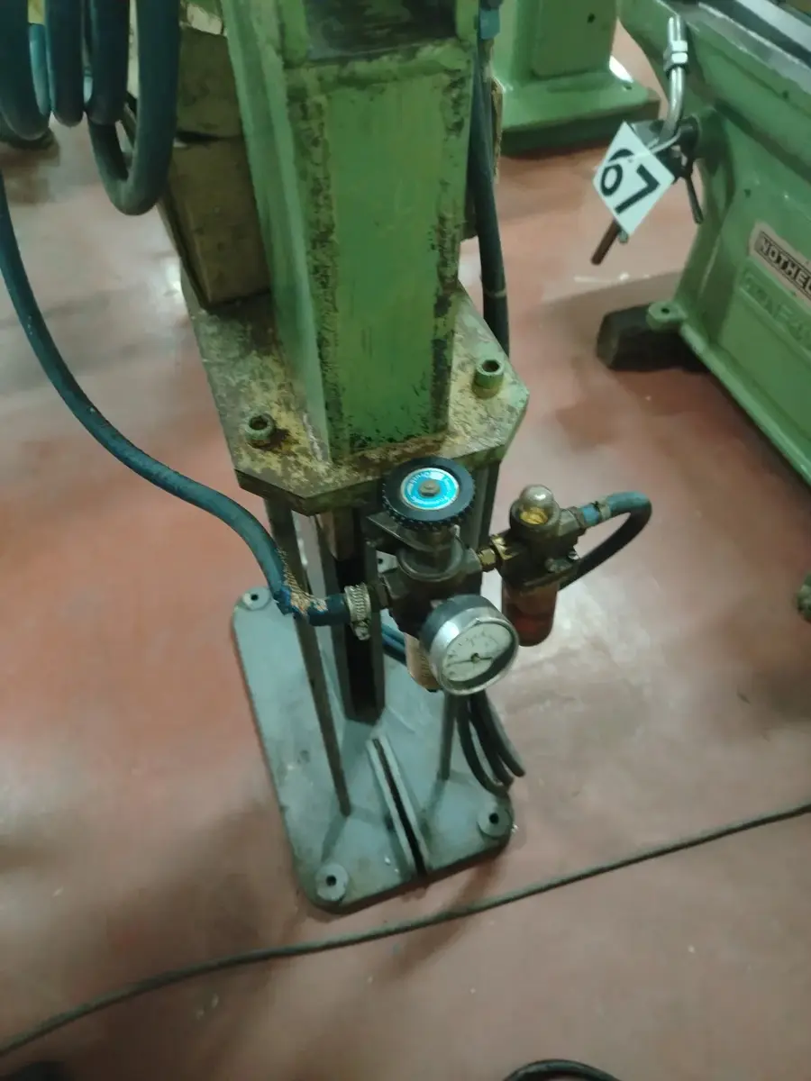 Glodalica Presa Niterica Constantin • 2