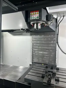 Glodalica Haas • VF4SS, godište 2023 • slika 5