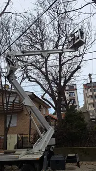 Auto dizalica sa korpom Nissan • Cabstar 20m • slika 12