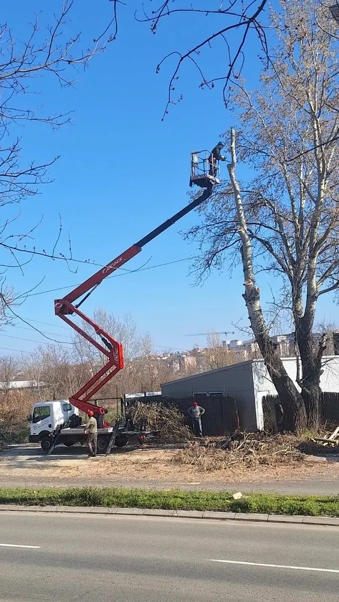 Auto dizalica sa korpom Nissan • Cabstar 24m • 8