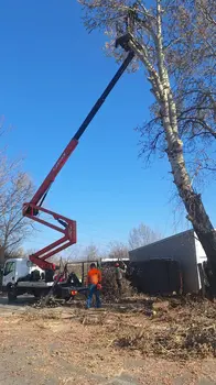 Auto dizalica sa korpom Nissan • Cabstar 24m • slika 7