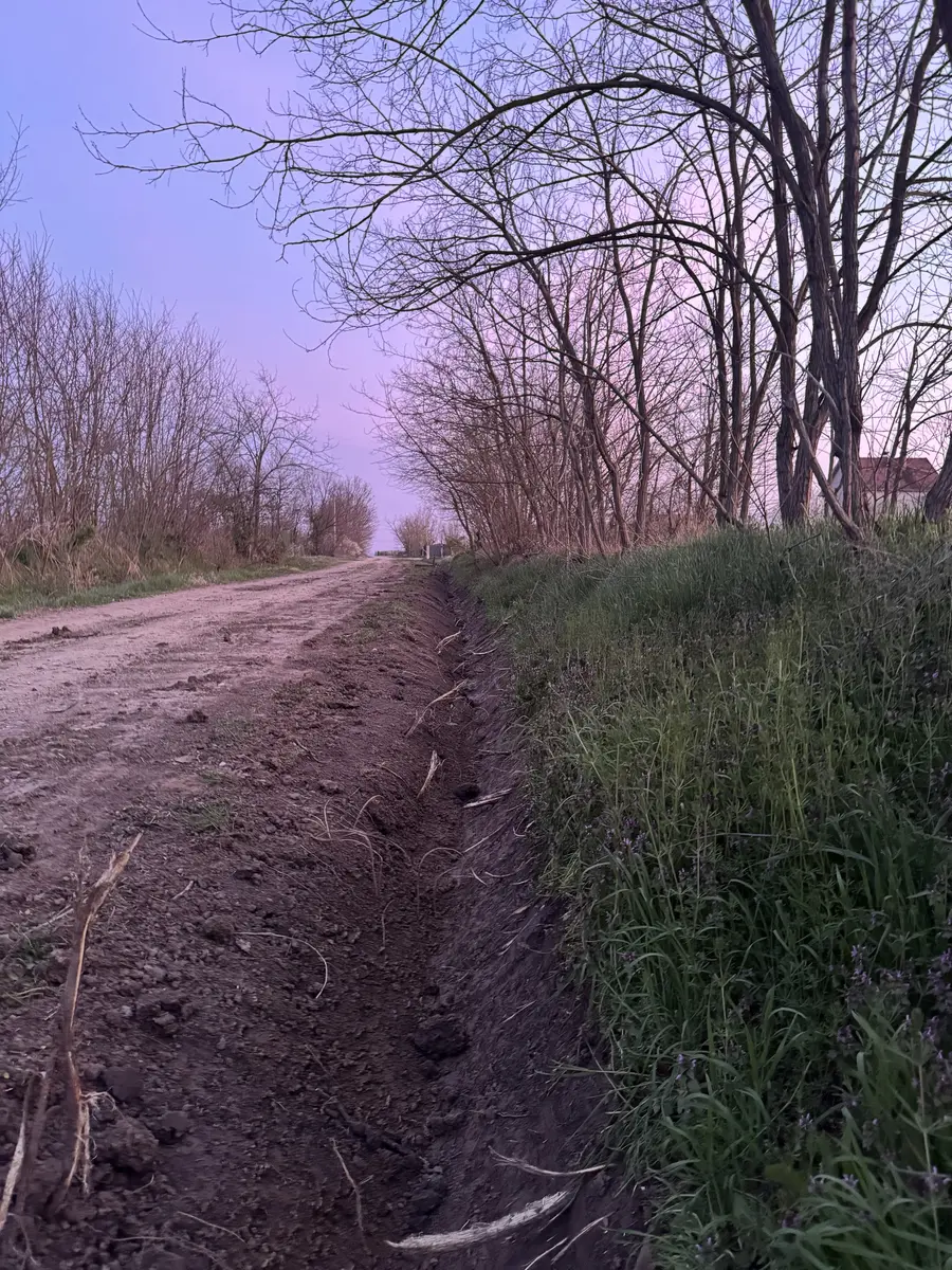 None Iskop mini bagerom • 7