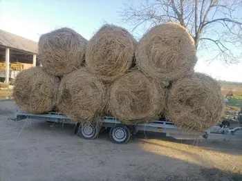 None Šlep služba  • slika 10